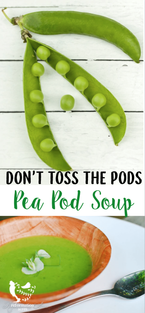 Pea Pod Soup Recipe