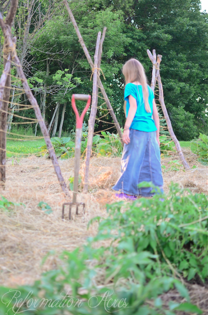 Organizing Your Homestead