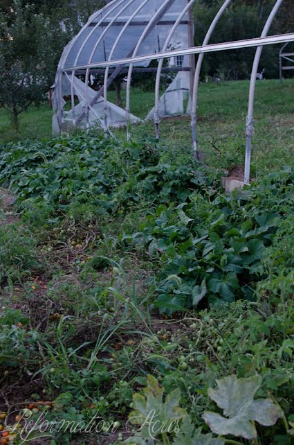 Pantry Garden-13