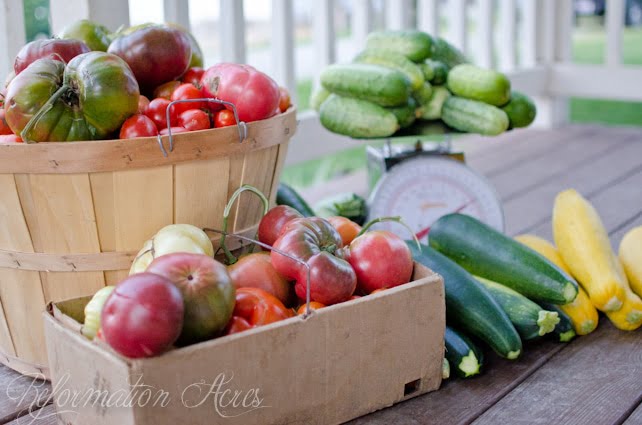 harvest-2