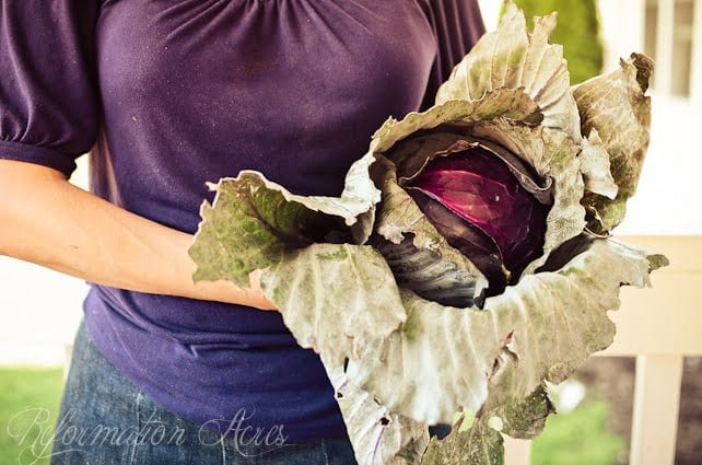 Use These 11 Strategies to Help You Organize the Homestead