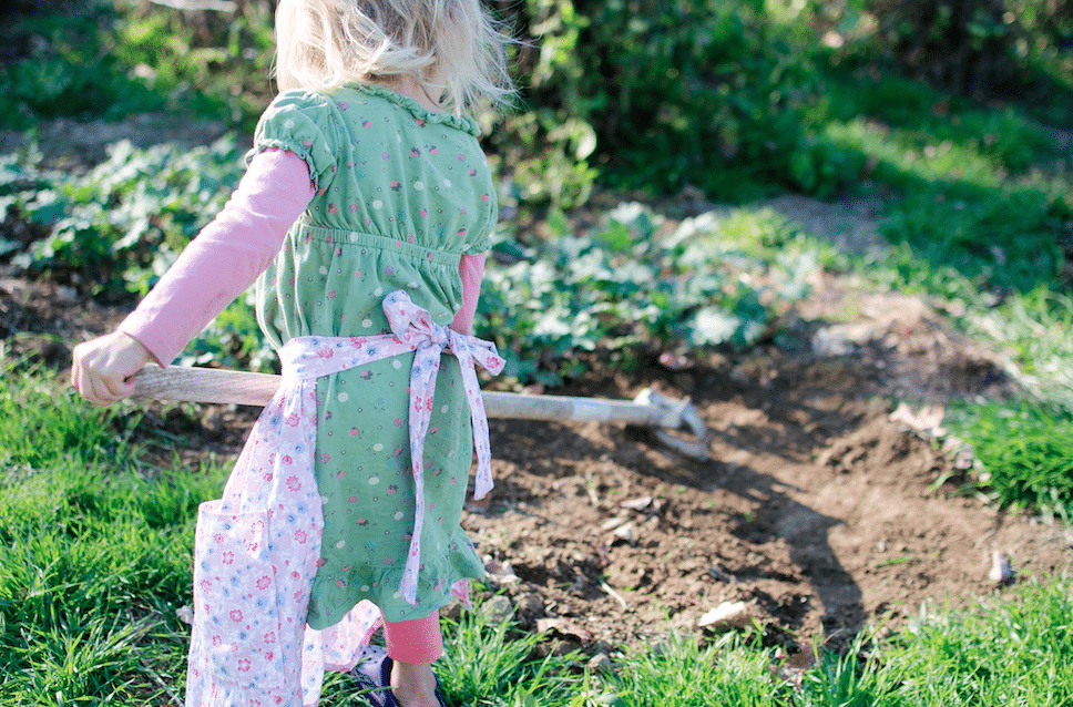 Use These 11 Strategies to Help You Organize the Homestead
