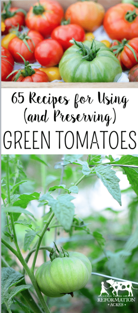 65 Recipes for how to use and preserve GREEN tomatoes