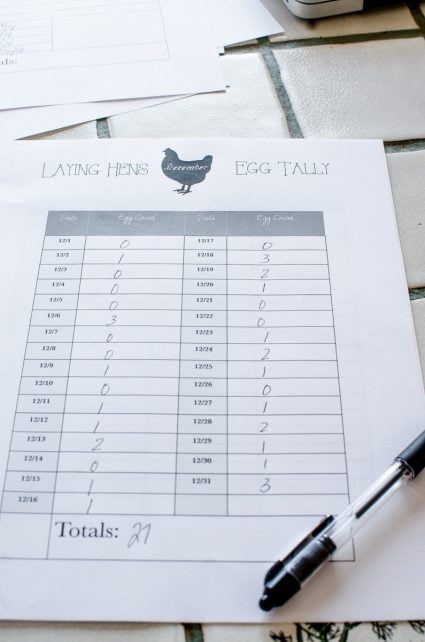 How to Make A Homestead Management Binder