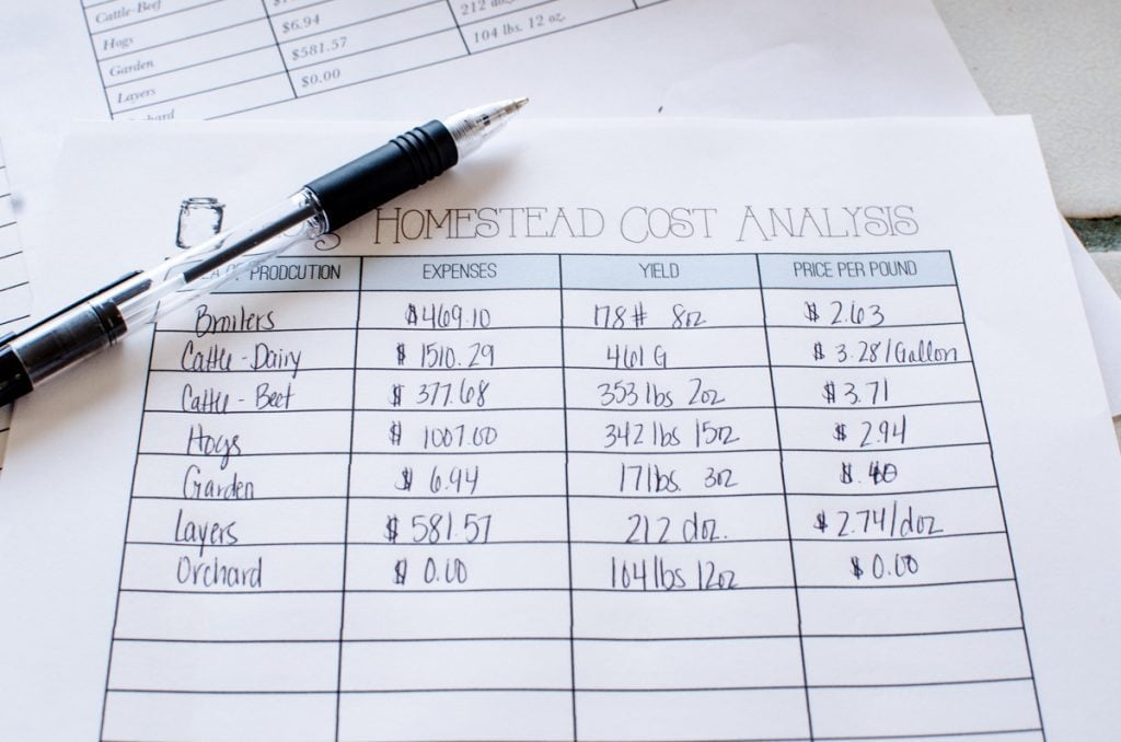 Use These 11 Strategies to Help You Organize the Homestead
