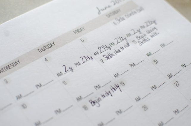 How to Make A Homestead Management Binder