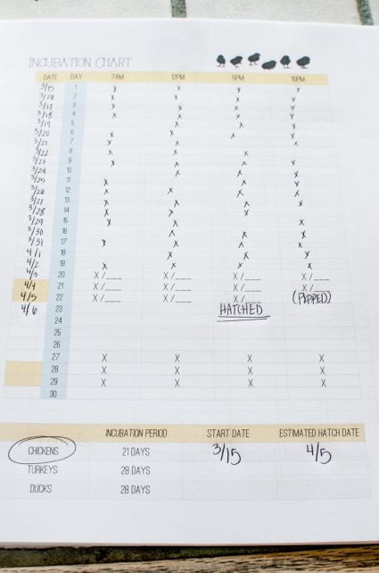 How to Make A Homestead Management Binder