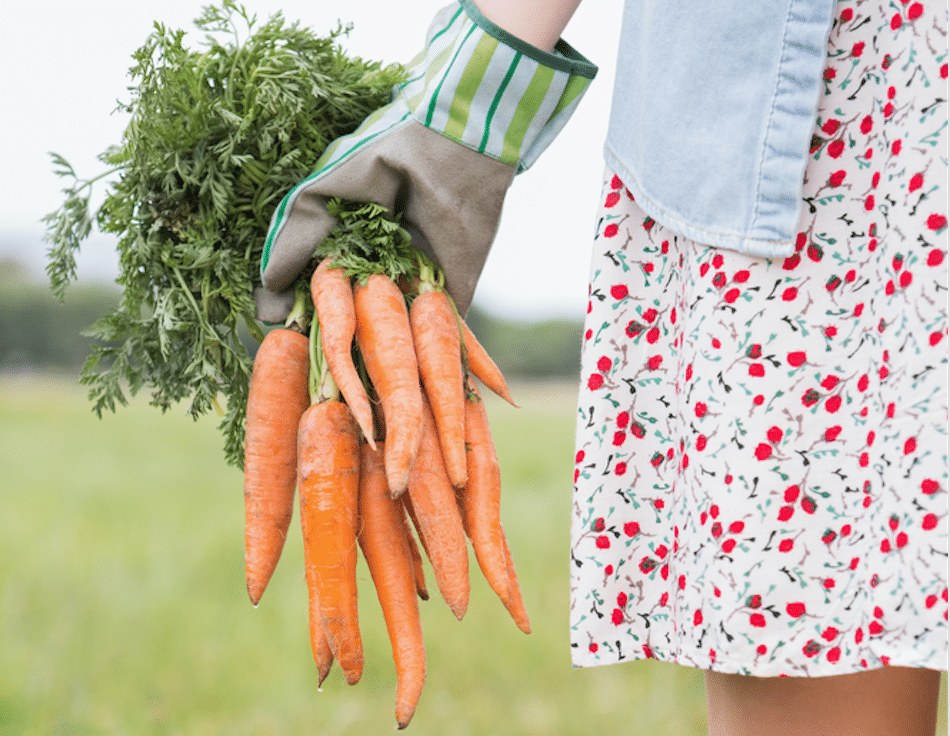 Lady in skirt carrying bunch of carrots