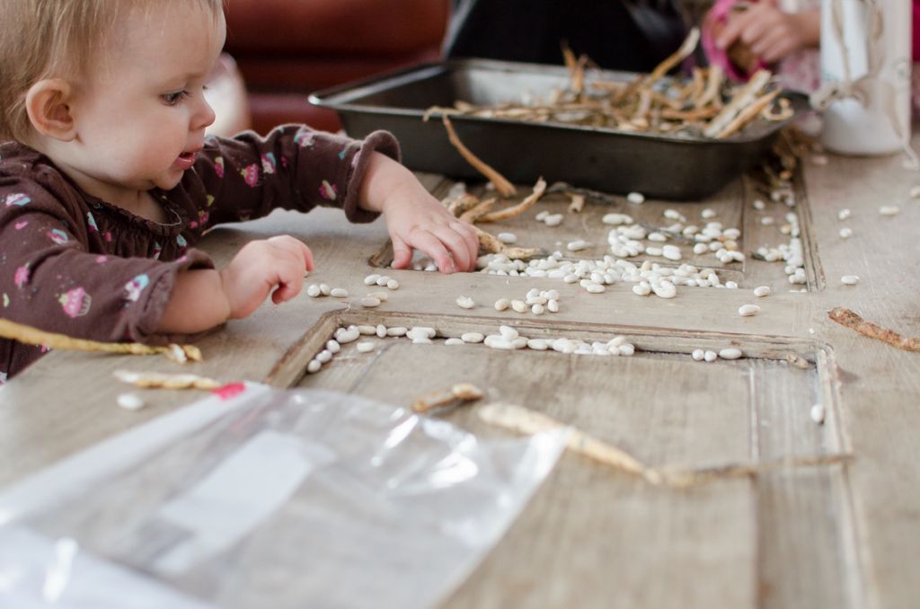 How to Save Heirloom Bean Seeds