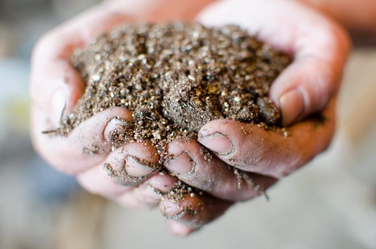 Custom Potting Soil Mix-2 dirt in cupped hands Learn how to make a DIY potting soil mix using a few simple ingredients you can easily find at the gardening supply store for an organic soil mix.