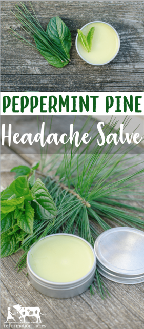 Massage a dab of Peppermint Pine Headache Salve on your temples when you start to feel a headache. Breathe deeply and feel your headache melt away.