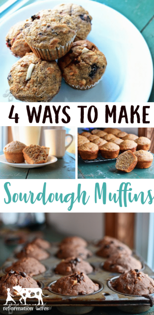 Add a little variety to your mornings with these four recipe variations for sourdough muffins all based off a basic sourdough muffin recipe.