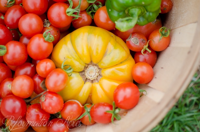 Why I'm NEVER Canning Traditional Tomato Sauce Again!