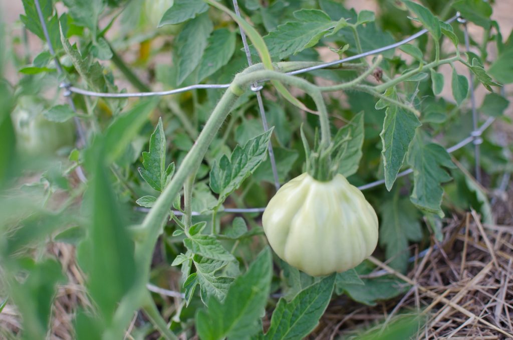 gardens-20