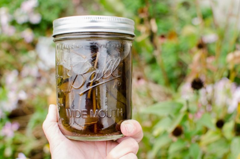 echinacea tincture