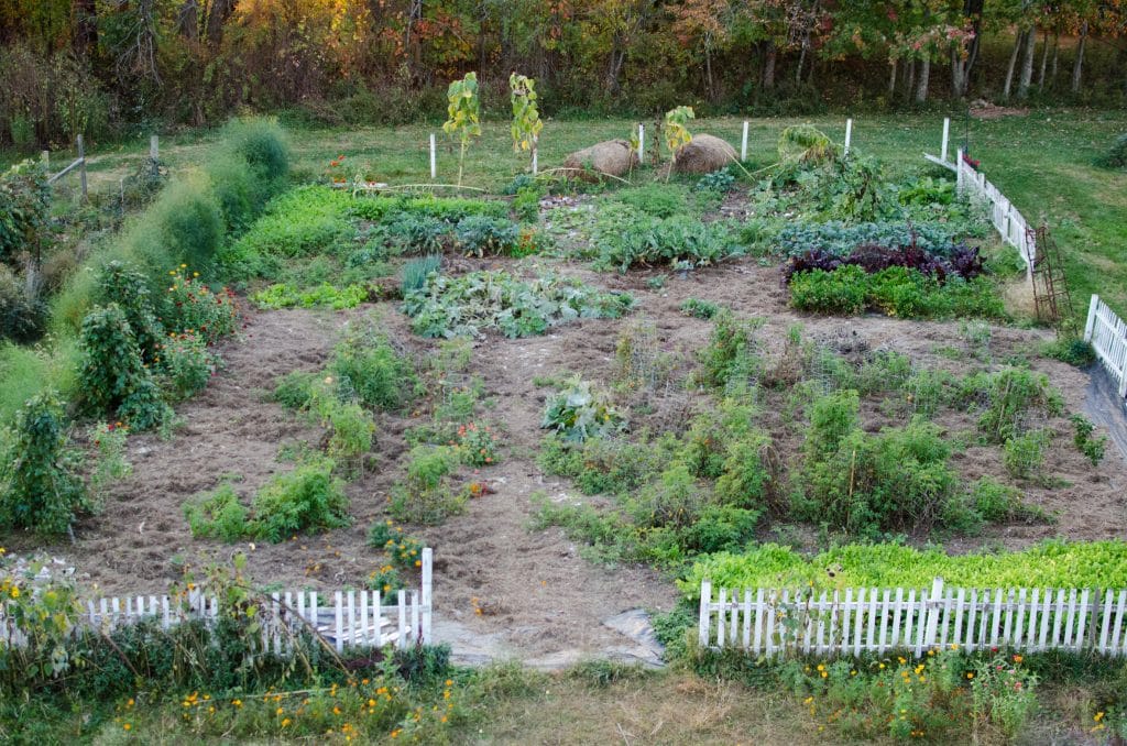 gardens