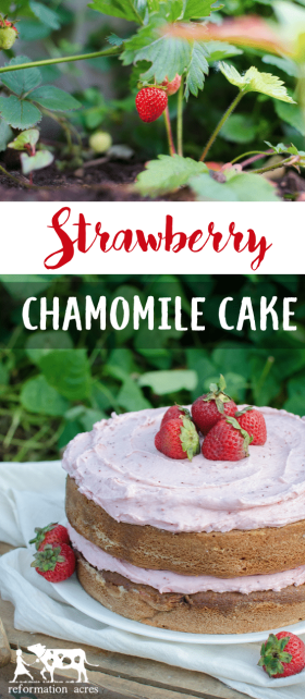 Strawberry Chamomile