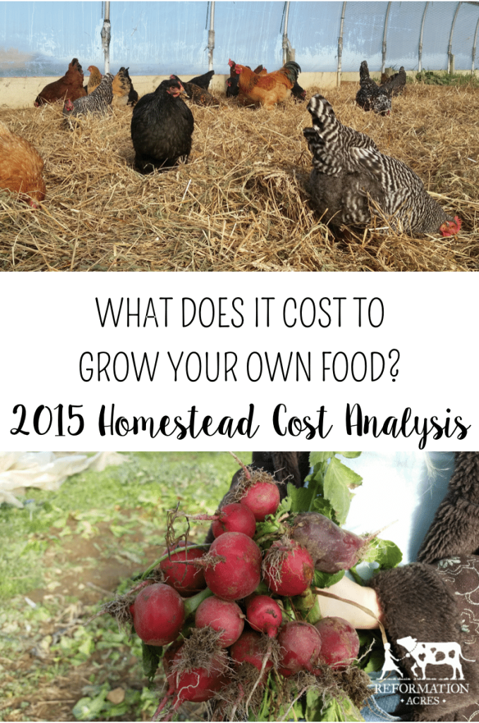 Ever wondered how much does it cost to grow your own food? Here is one homestead's breakdown of expenses, yields, and cost per pound. 