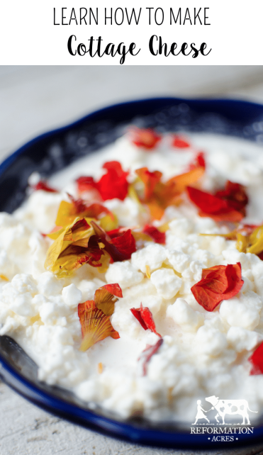 Cottage Cheese