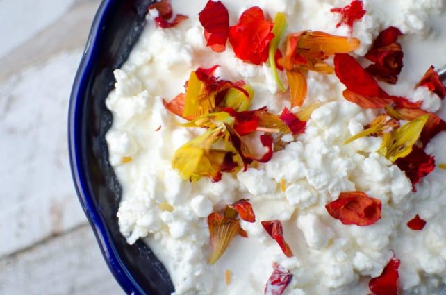 Cottage Cheese with red herb toppings