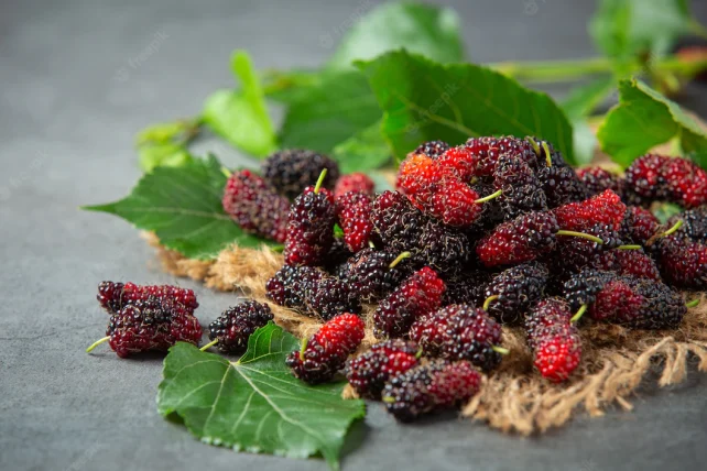 Mulberries
