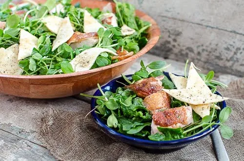 soil sprouts (5 of 8) grilled chicken salad greens winter