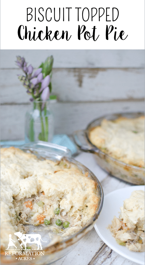 Biscuit Topped Chicken Pot Pie