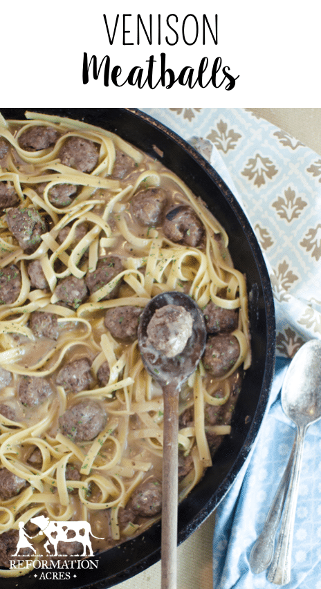 Venison Meatballs (Though it's just as tasty made with beef!) 