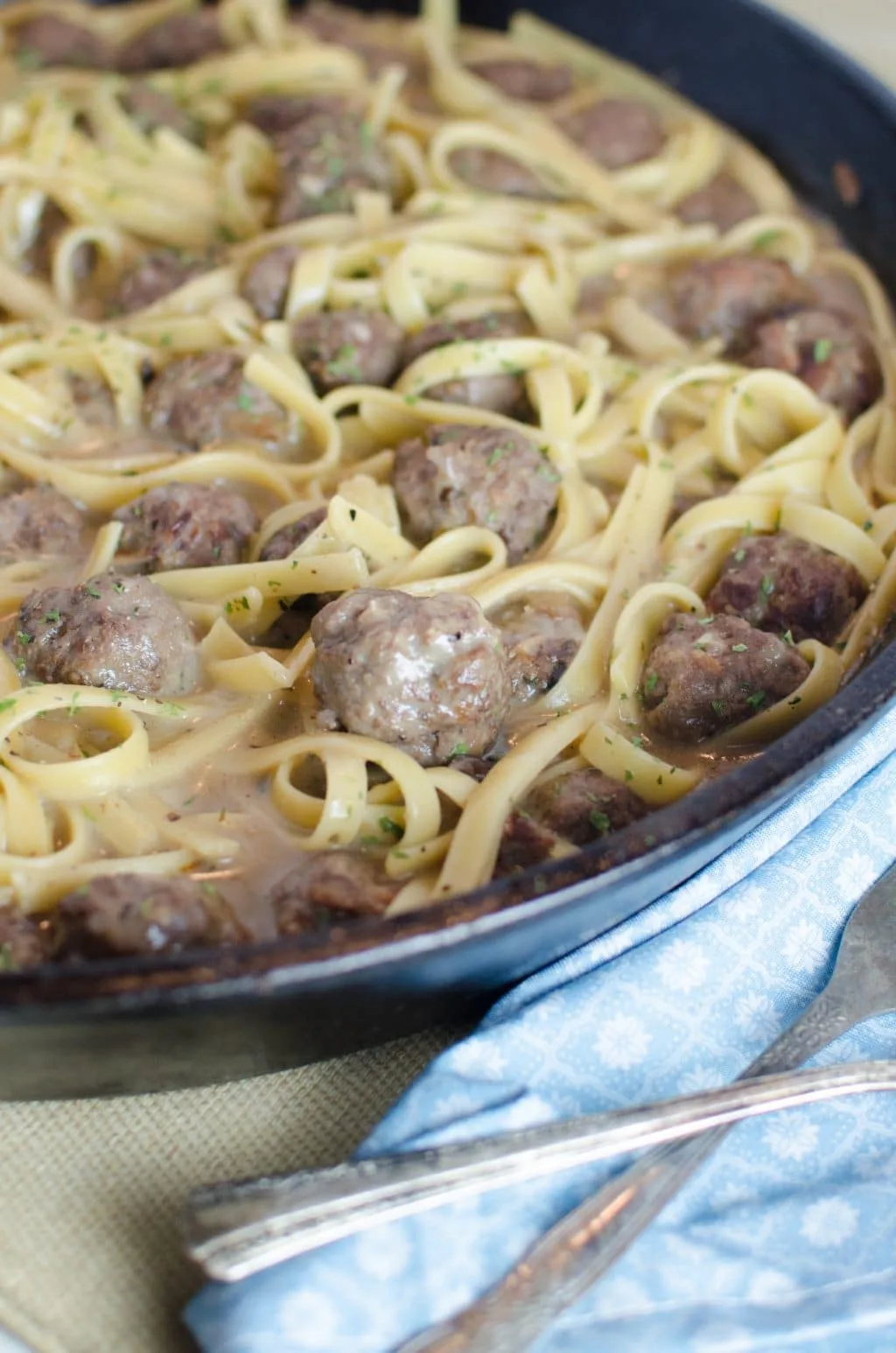 Venison Meatballs-4 close up