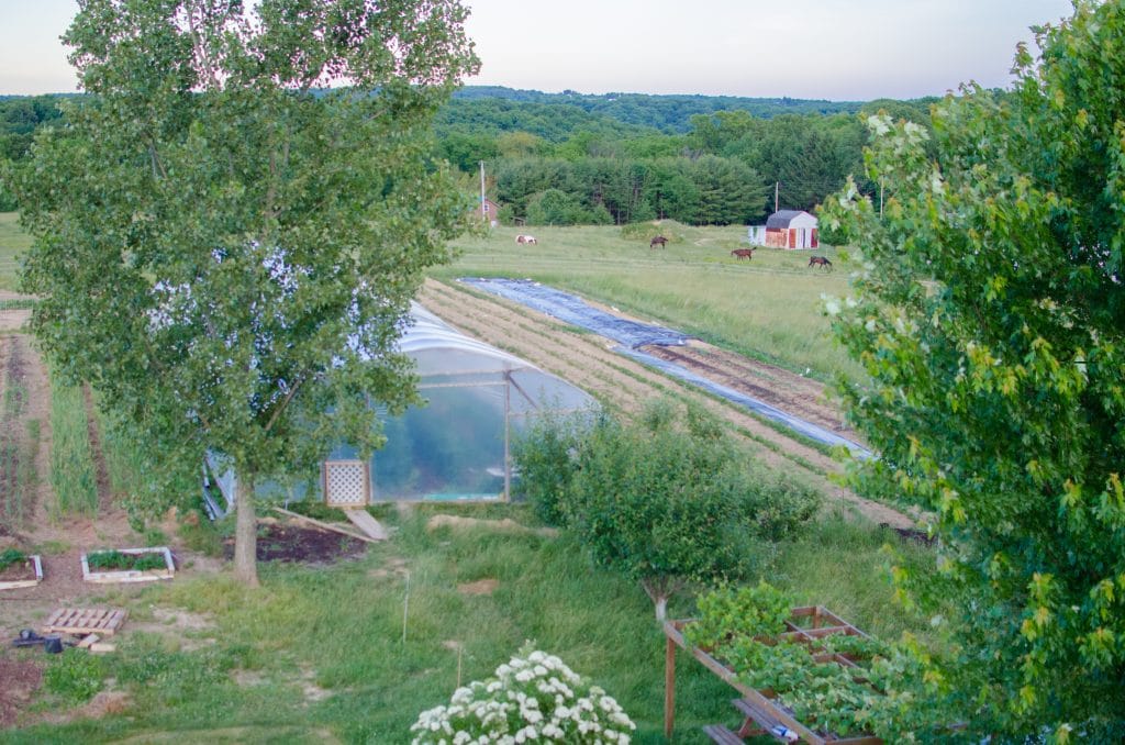 The Gardens in June {2016}