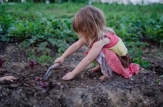 The One Reason Why We Aren't Turning Our Homestead into a Small Farm