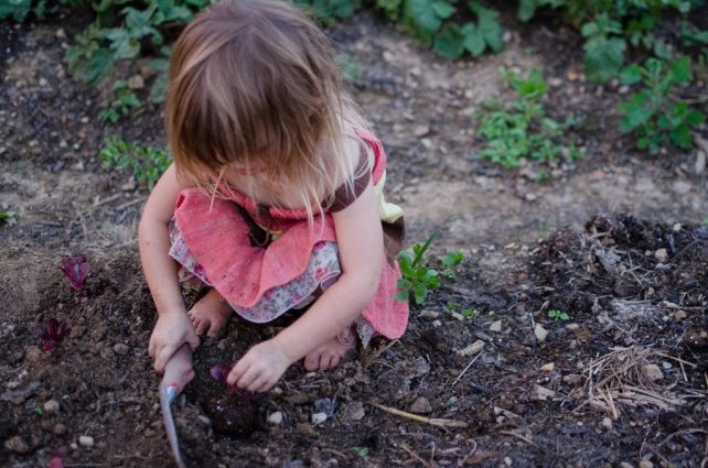 The One Reason Why We Aren't Turning Our Homestead into a Small Farm