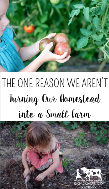 The One Reason We Aren't Turning Our Homestead into a Small Farm