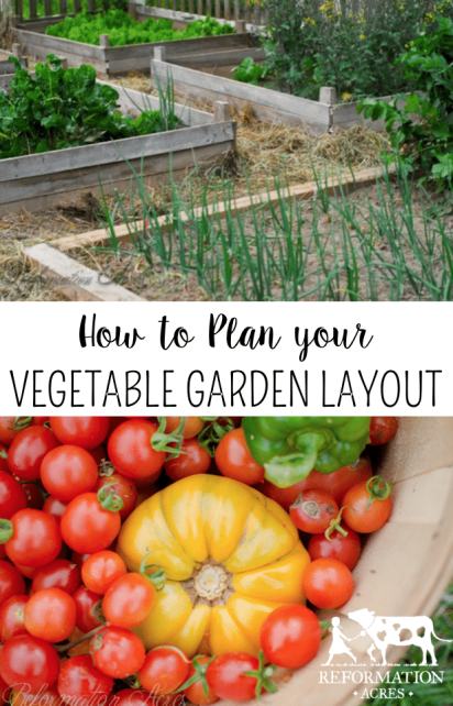 Want the Healthiest Vegetables? Use These Tips for your Garden Plans