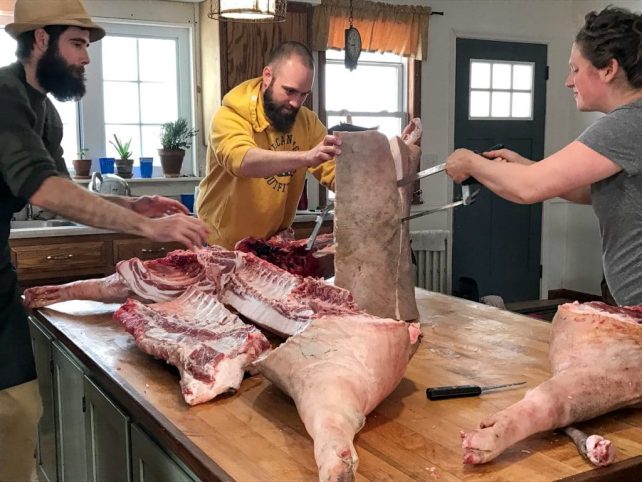2016 Homestead Hog Butchering Workshop