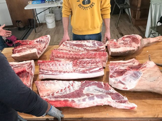 2016 Homestead Hog Butchering Workshop