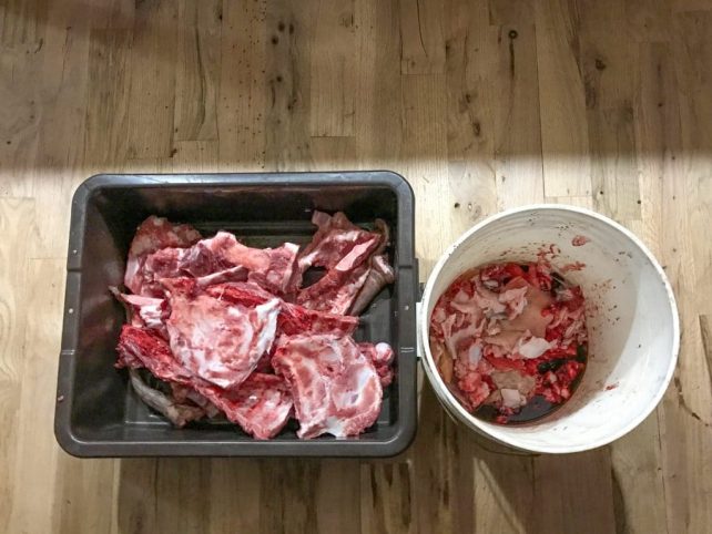 2016 Homestead Hog Butchering Workshop