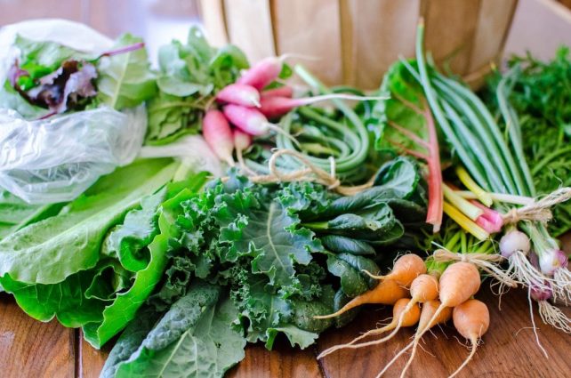 Want the Healthiest Vegetables? Use These Tips for your Garden Plans