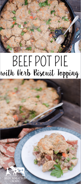Beef Pot Pie with Herbed Biscuit Topping