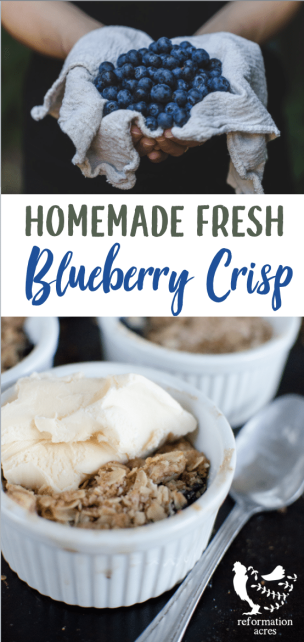 Sweet & tart Fresh Blueberry Crisp with homemade streusel topping is so delicious served warm with a scoop of vanilla ice cream! And it's so simple to prepare, even the kids can make it!