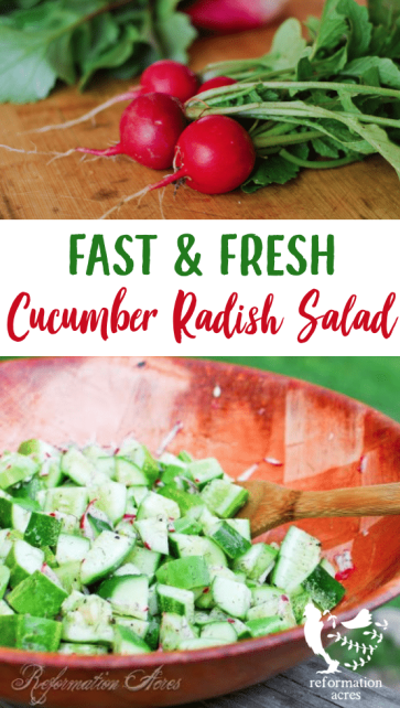 Crisp cucumbers, spicy radishes, and tangy vinegar dressing. Cucumber Salad with Radishes is a light, refreshing salad that is quick & simple to prepare!