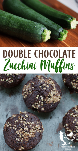These Chocolate Chocolate Chip Zucchini Muffins are light, moist, and topped with a sweet and crunchy buckwheat streusel topping that is delicious.