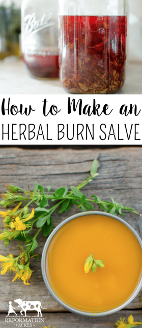 How to Make an Herbal Burn Salve