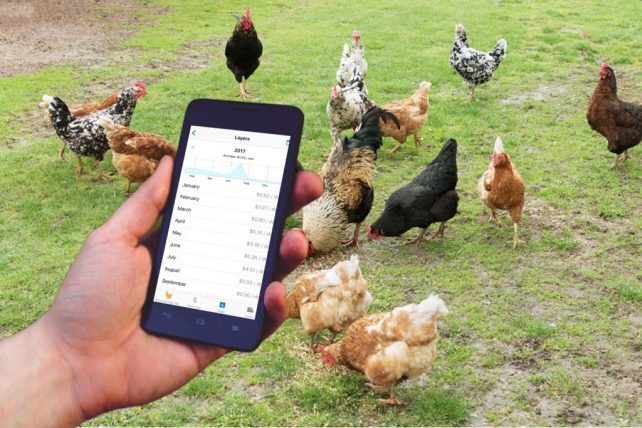 7 Reasons You Need to Keep Homesteading Records
