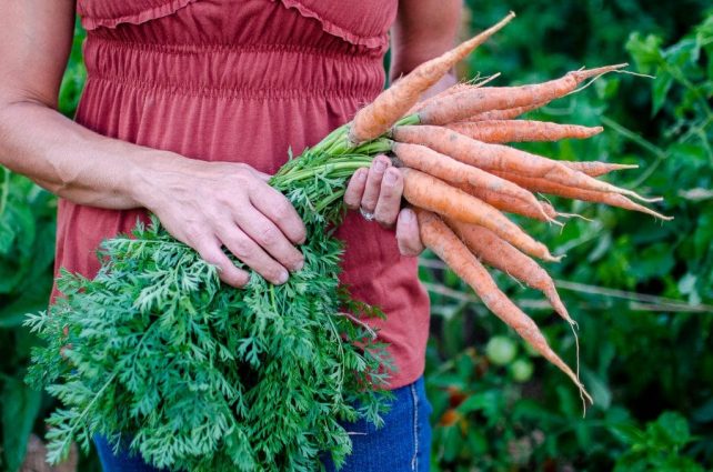 7 Reasons You Need to Keep Homesteading Records