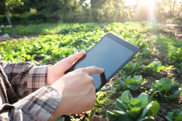iPhone in hand in garden