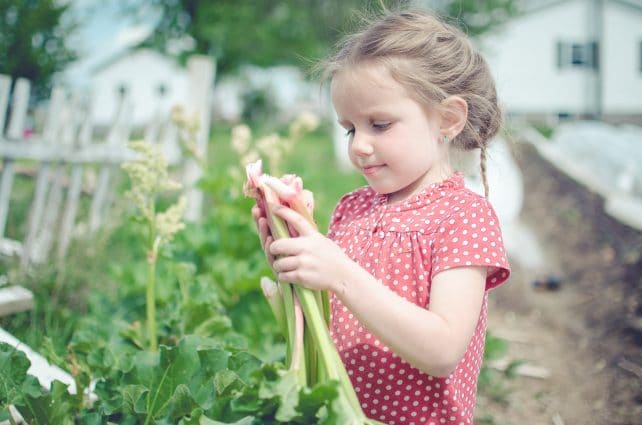 Make Your Child Want to Help on the Homestead with These Gift Ideas