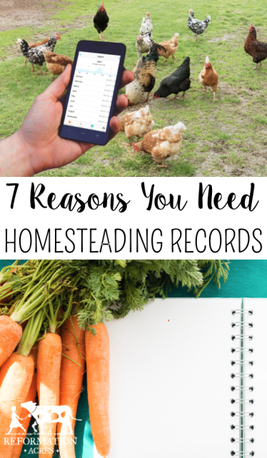 7 Reasons You Need to Keep Homesteading Records