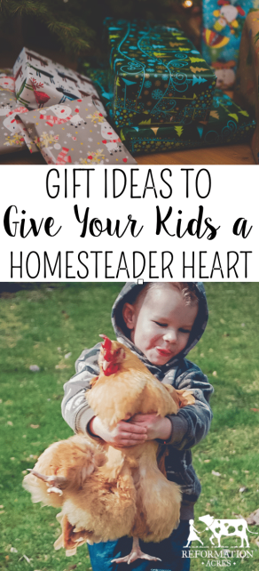 Make Your Child Want to Help on the Homestead with These Presents