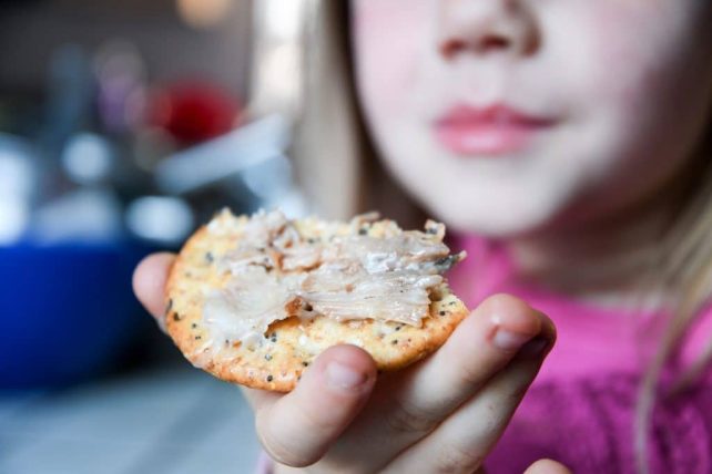 This is a delicious recipe for how to make french pork rillettes in a crockpot and preserve them in lard!
